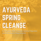 Ayurvedic Spring Cleanse + Microbiome Program (Starts April 7th)