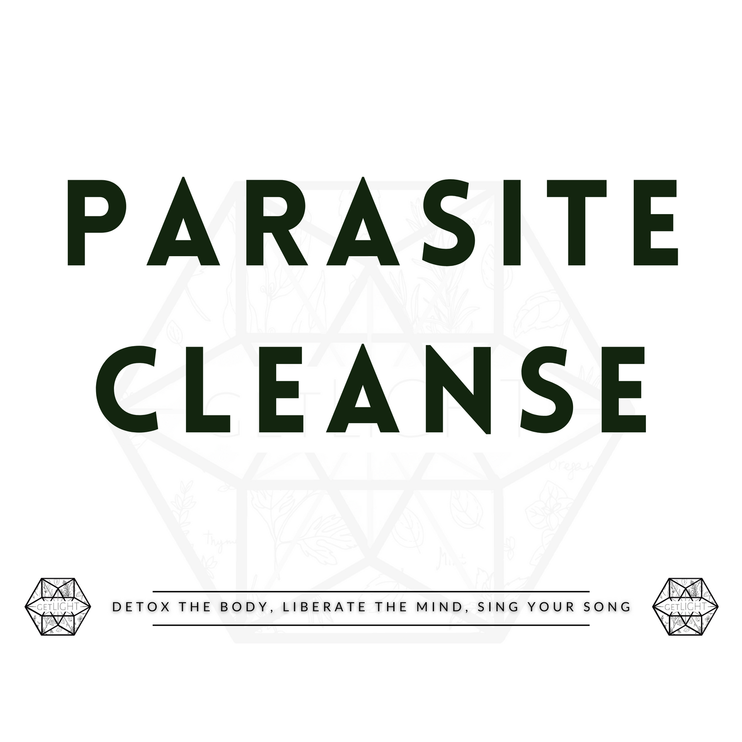 Parasite Cleanse + Organ Purification Program + Guide