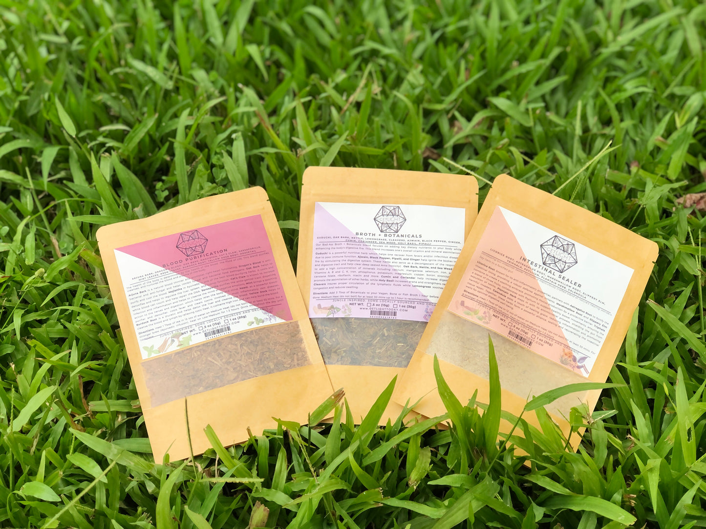 28-Day Microbiome Regeneration Program + Guide