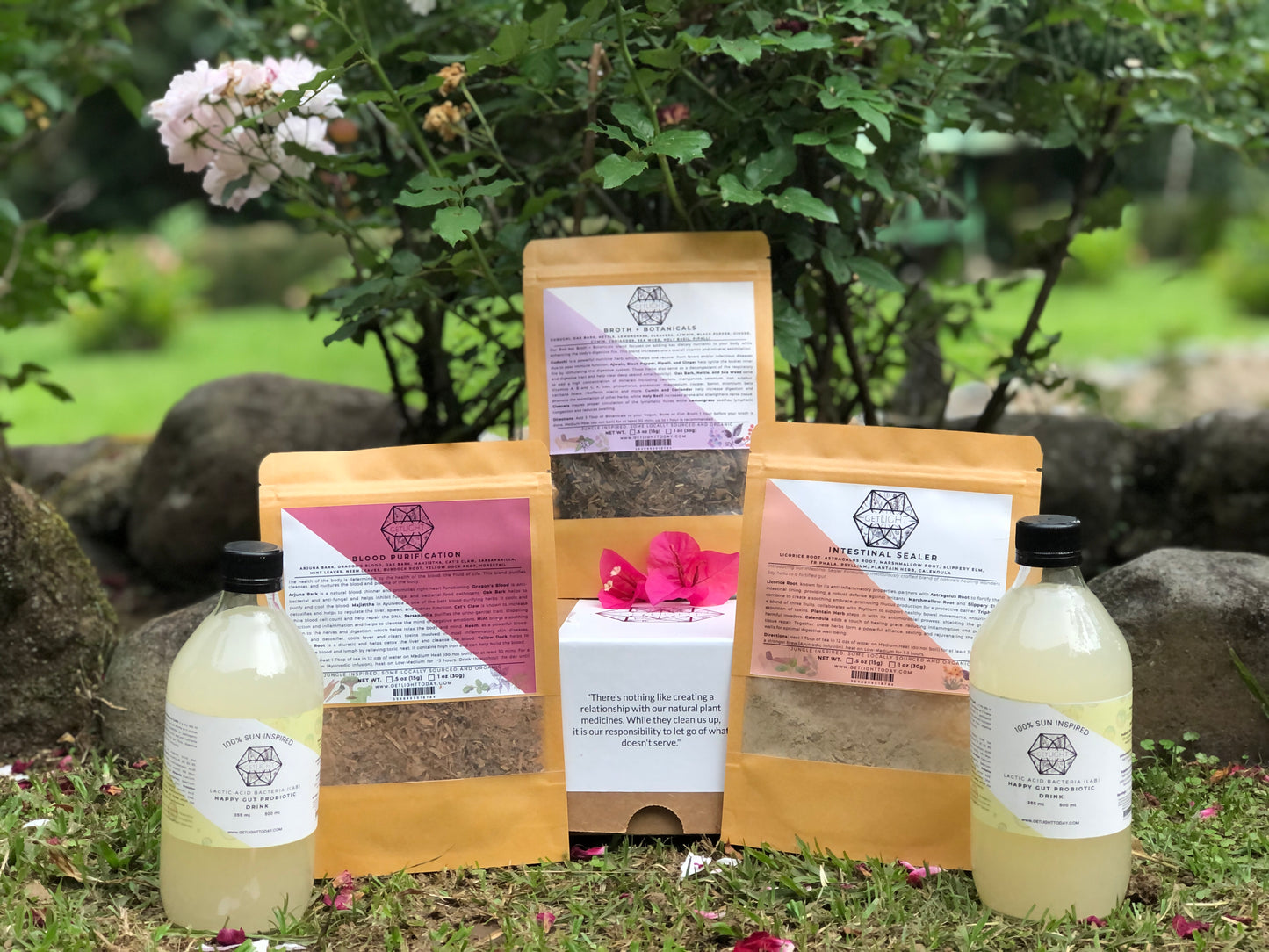 28-Day Microbiome Regeneration Program + Guide