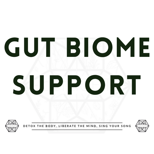 Gut Microbiome Support Program + Guide