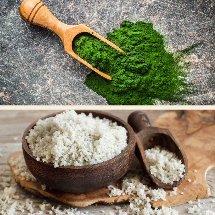 1  | 3 | 7 | 10 Day Coconut Water Fast + Cleanse Guide