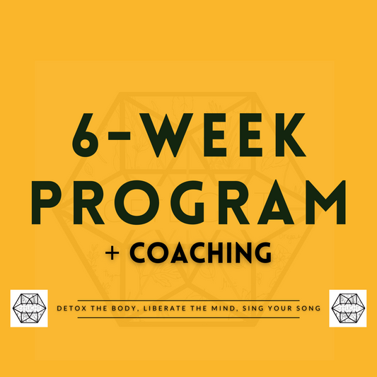 Full-Body Personalized Detox Program + Coaching