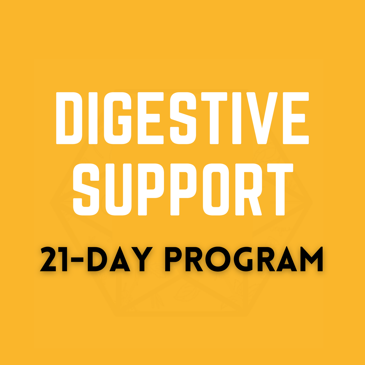 Digestive Support Program