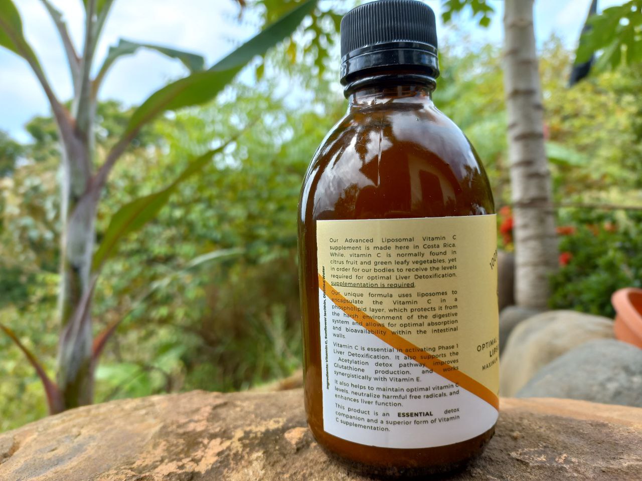 Liposomal Vitamin C (Costa Rica ONLY)