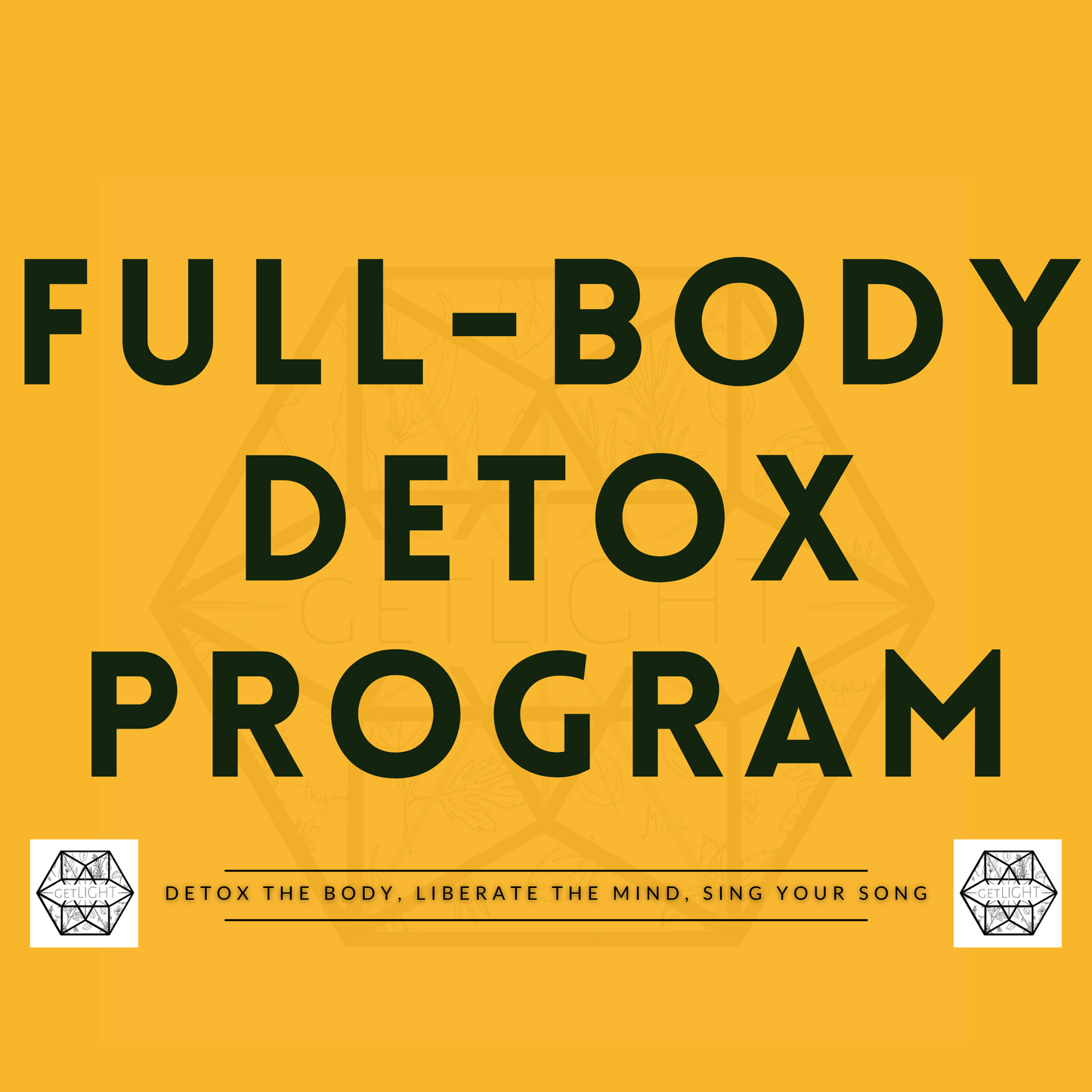 Full-Body Personalized Detox Program + Coaching