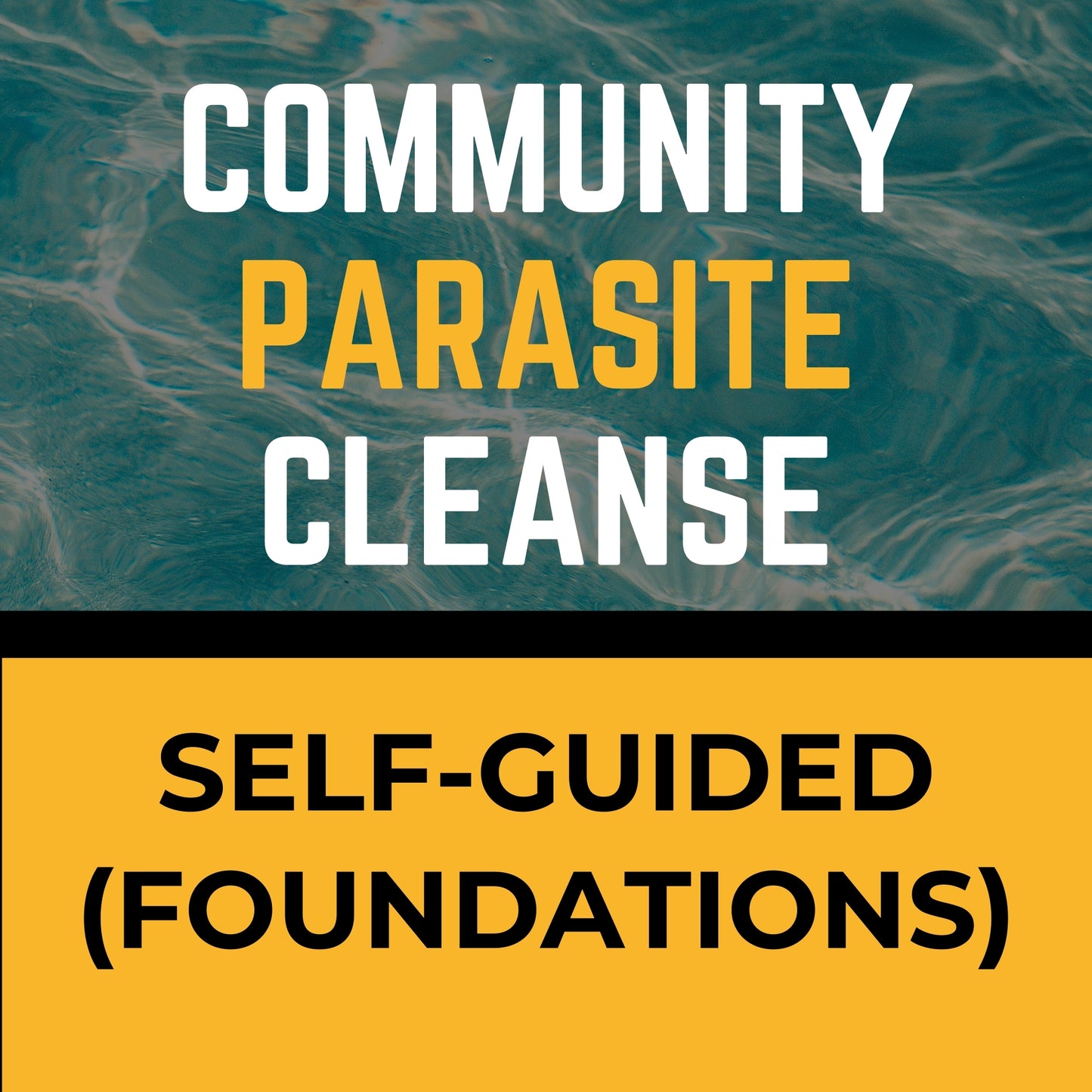 getLIGHT 6-Week Parasite Cleanse & Coaching Program