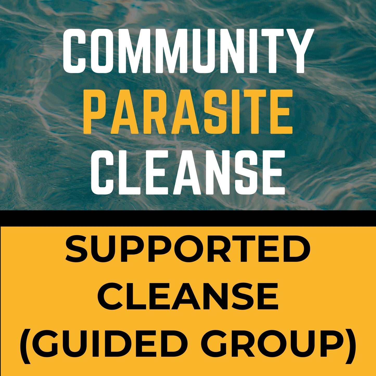 getLIGHT 6-Week Parasite Cleanse & Coaching Program