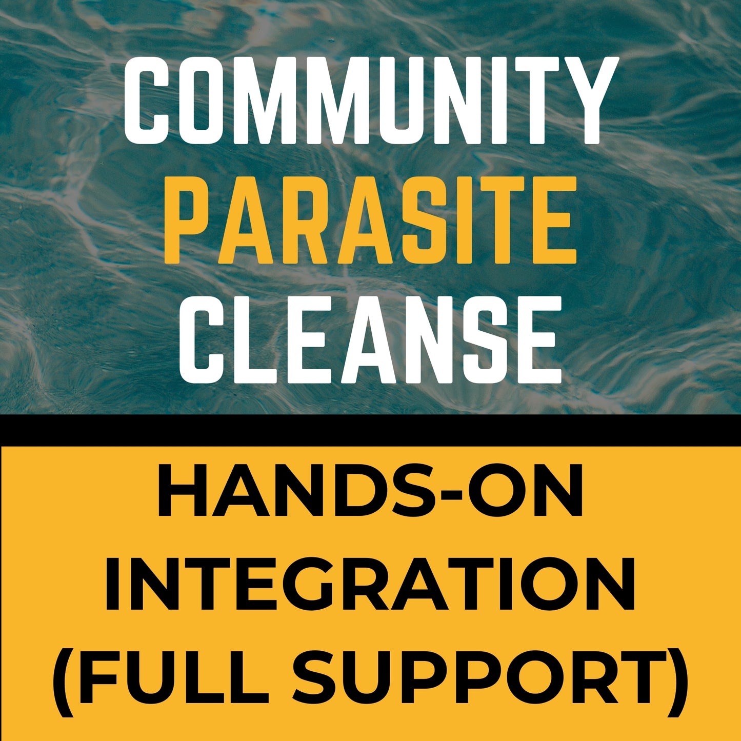 getLIGHT 6-Week Parasite Cleanse & Coaching Program